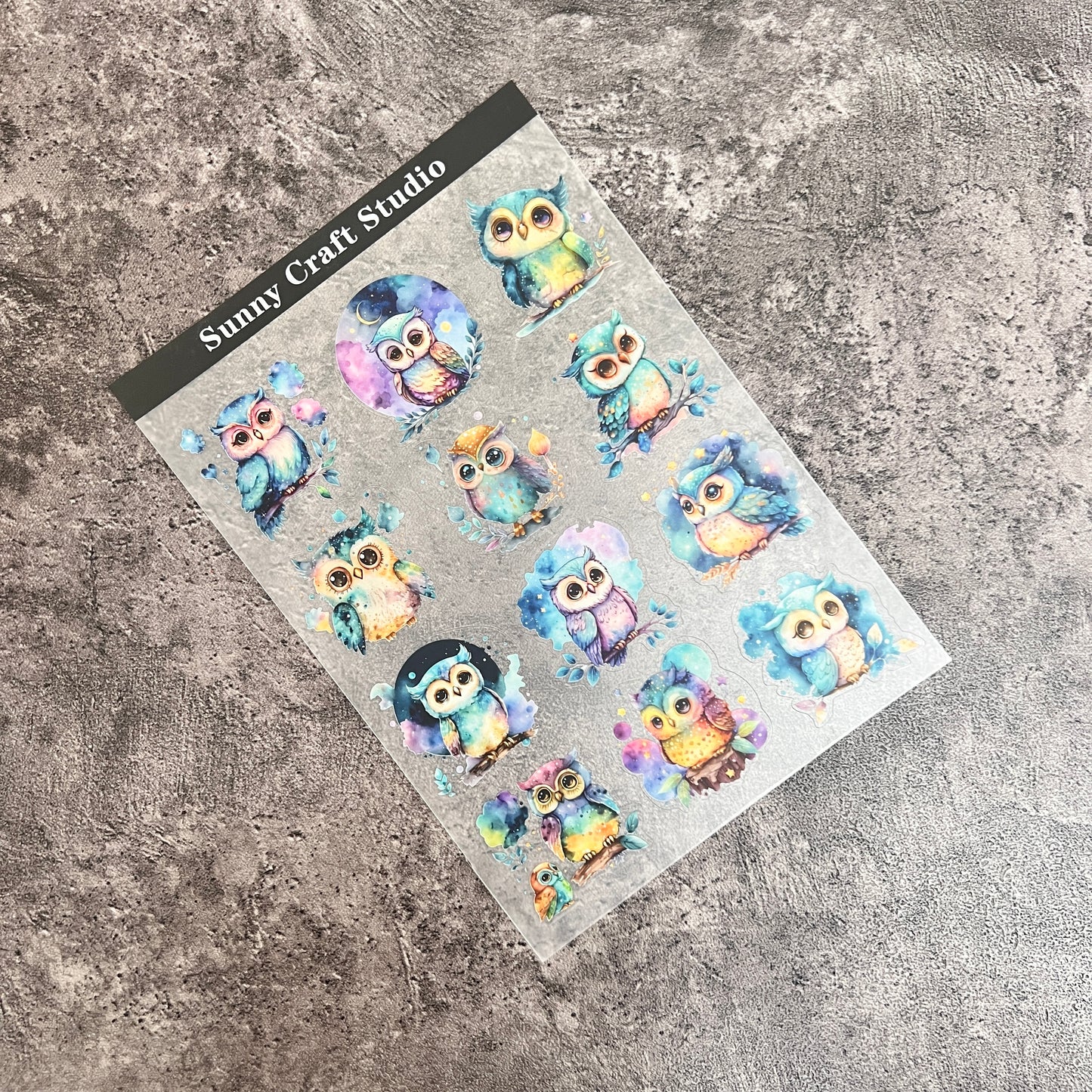 A0012---Owl PET Sticker 1 Pcs A5 Size