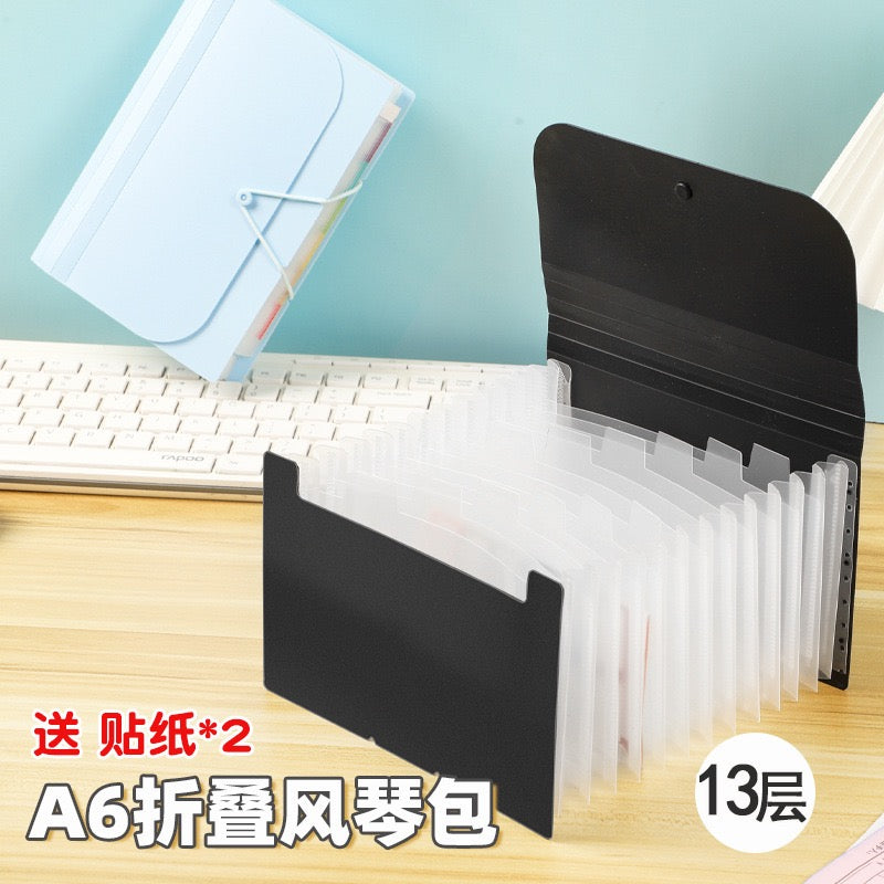 Accordion Bag Storage Album