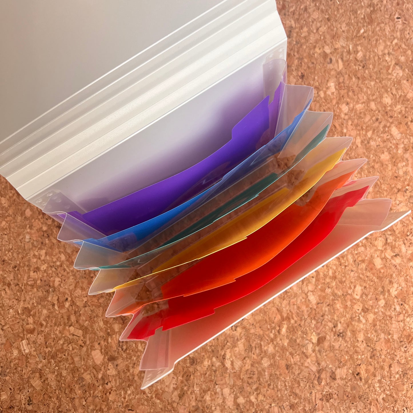 Accordion Bag Storage Album