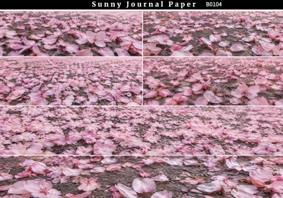 B0104--Multi-Size Ground Horizontal A5 paper 10pcs no repeat